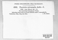 Puccinia universalis image